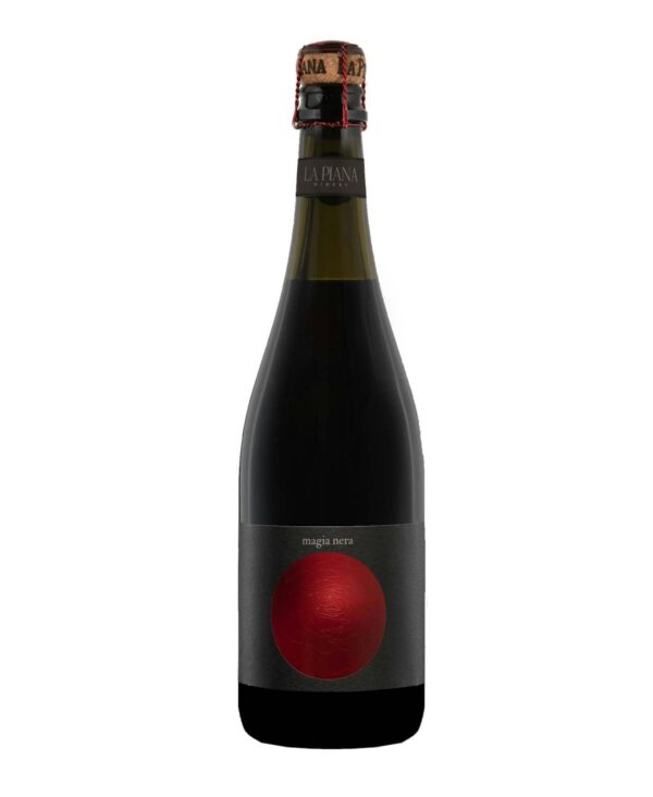2023 Magia Nera Lambrusco Grasparossa di Castelvetro DOC BIO